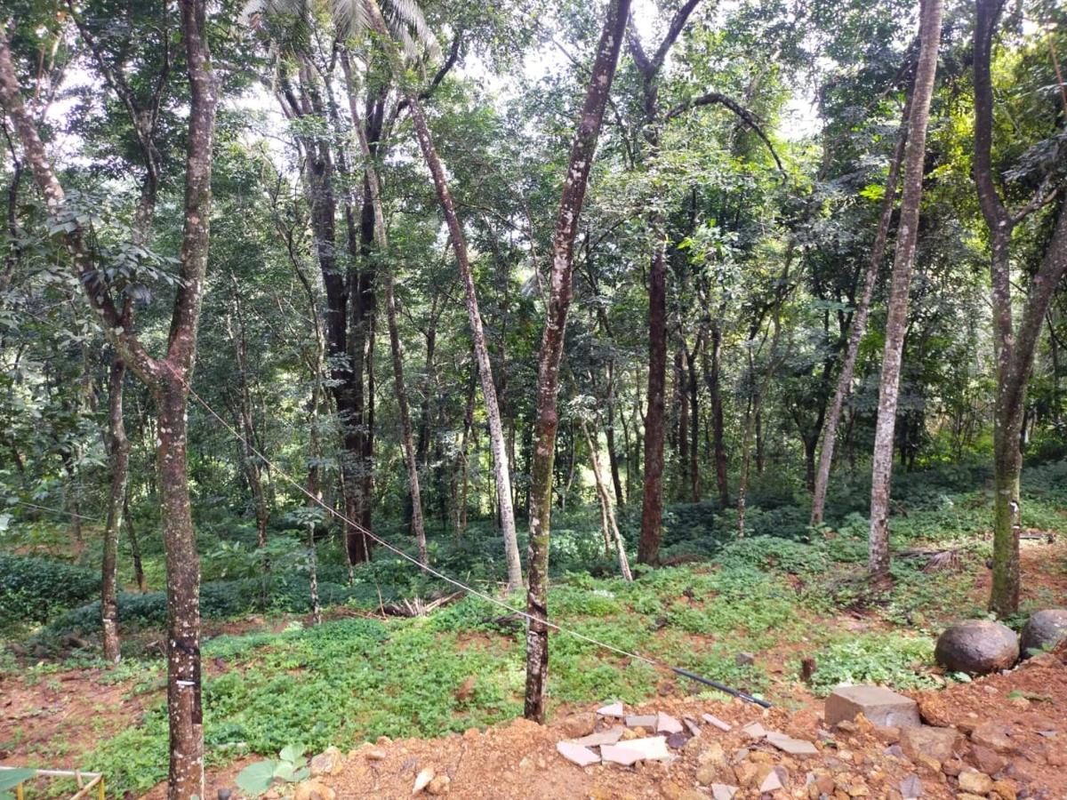הוילה Kozhancheri Nature'S Nest Thadiyoor מראה חיצוני תמונה